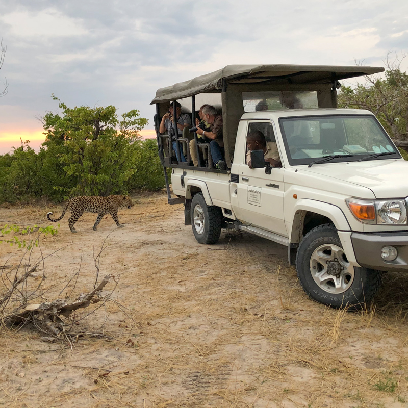 I:\AXUMIMAGES\Afrika\Botswana\Pakker\ID - 22668 Autentisk 8 dages safari i Botswana\Leopard ved game drive