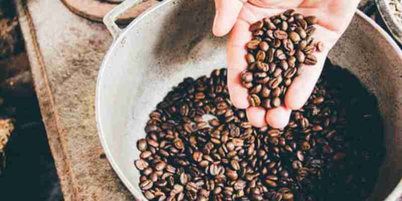 Rejser til Kap Verde og kaffebønner
