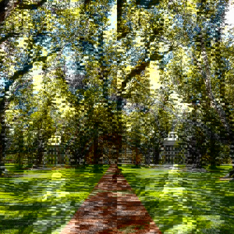 david-hertle-WlURpJNPJIY-unsplash