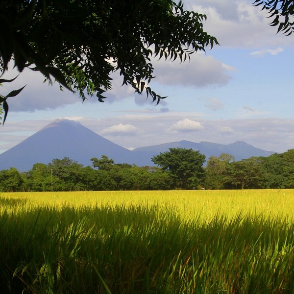 Udsigt over markerne med vulkanerne i baggrunden i Nicaragua