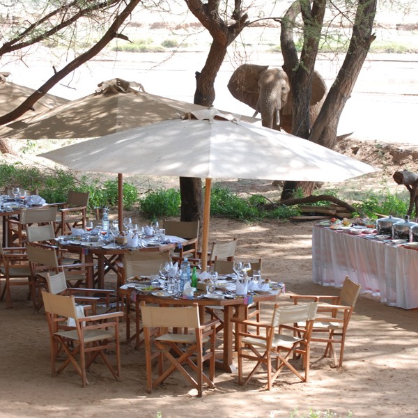 Gæster til morgemad på Elephant Bedroom Camp, Kenya