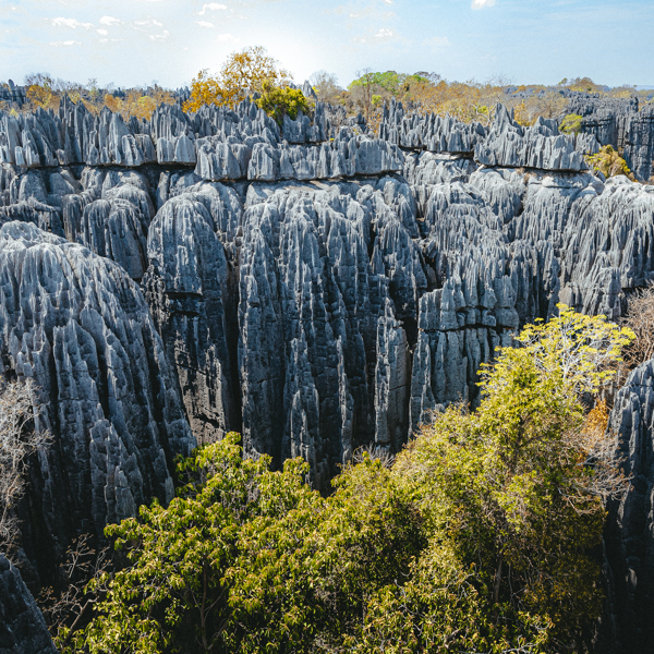 Klippelandskab i Madagaskar