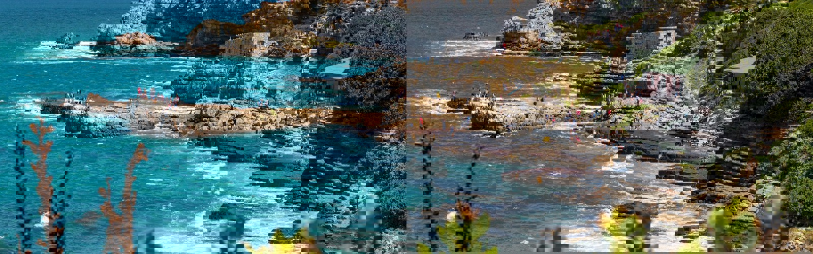 grant-durr-U1t34Bukk6U-unsplash