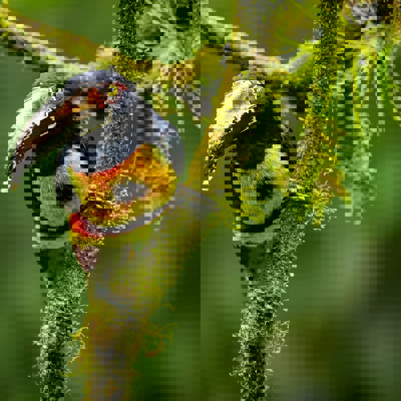 cesar-badilla-miranda-UDQgTA-D6Aw-unsplash