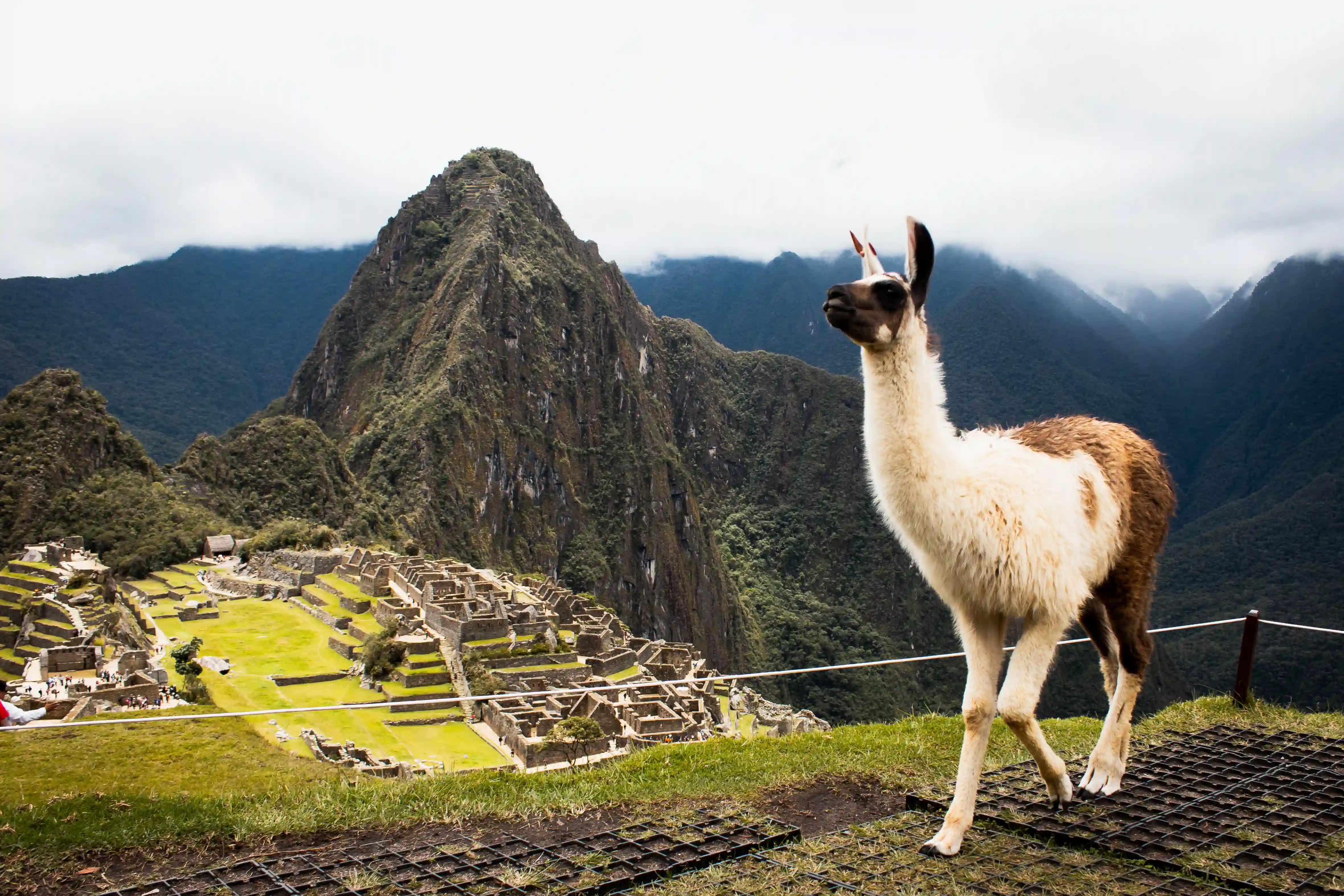 Rejser til Peru - Machu Picchu