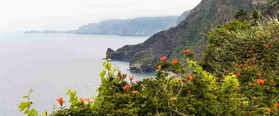 Madeiras-frodige-kyst