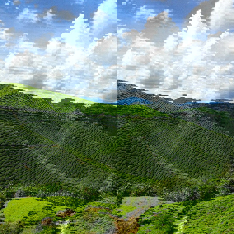 sokmean-nou-DY2EFjpMnz0-unsplash