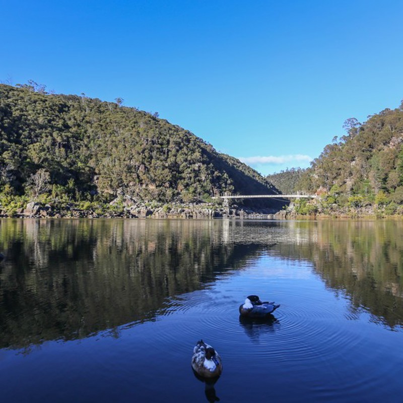 Cataract Gorge, Launceston, Australien
