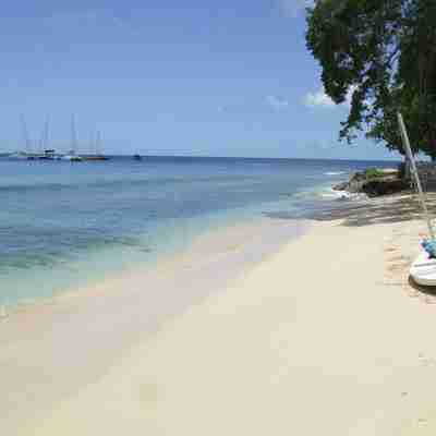Hvid sandstrand på Barbados
