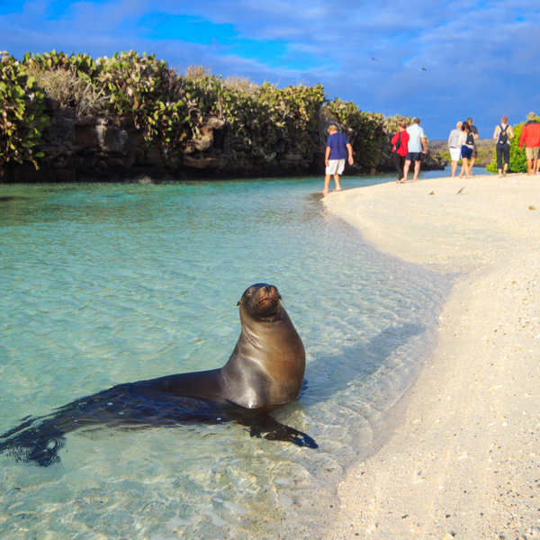 Galapagos cruise, Hannibal Travel