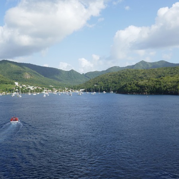 Det frodige Martinique set fra havet