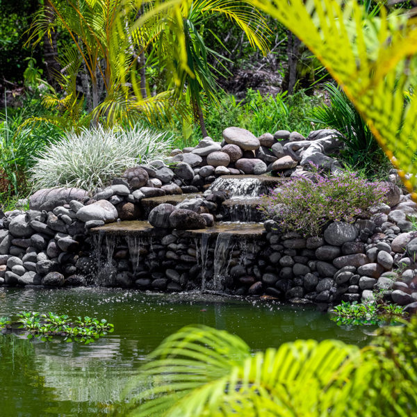 Nayara Bocas Del Toro, Panama