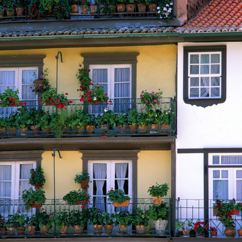 Guimarães, Detail of 17th century windows