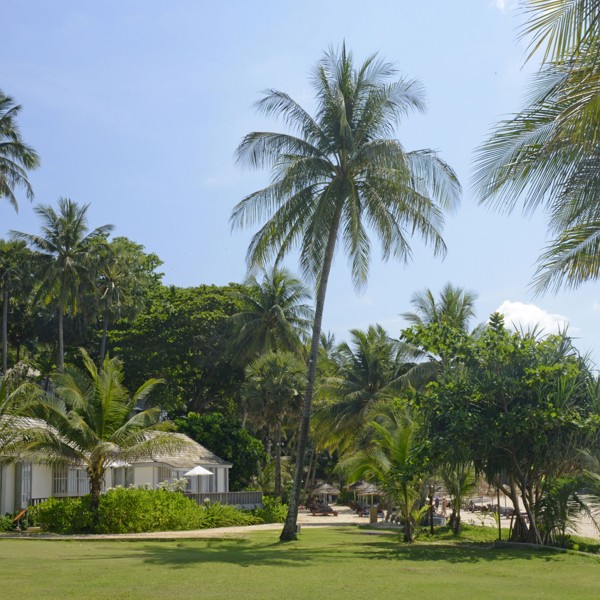 Flotte omgivelse, The Surin, Phuket, Thailand