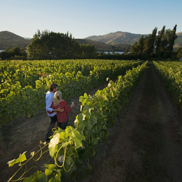 Lake Hayes, Queenstown, New Zealand