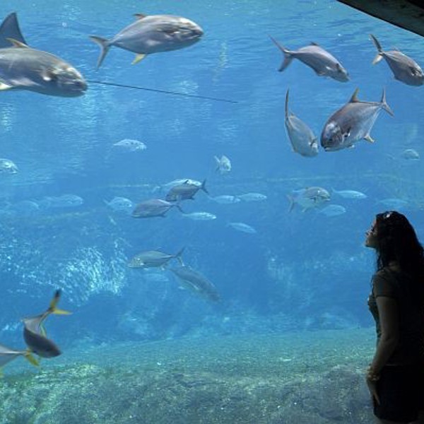 Ushaka Marine World and Florida Road, Durban, Sydafrika