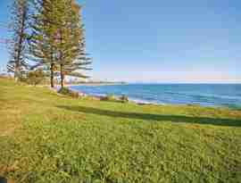 Pinetrees ved havet, Gold Coast, Australien