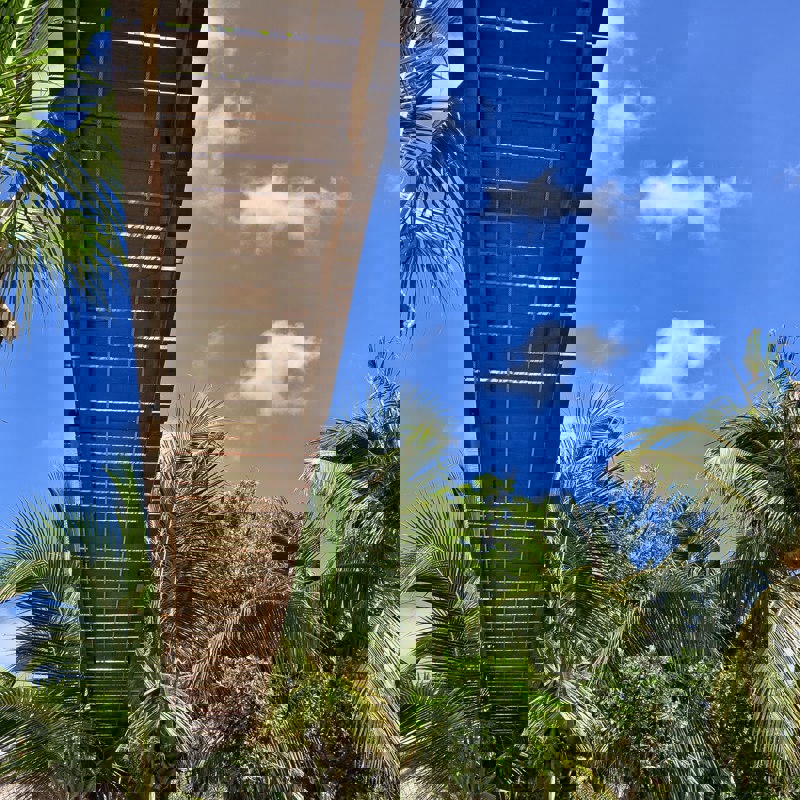 doug-morris-8f6ua9tQZcE-unsplash