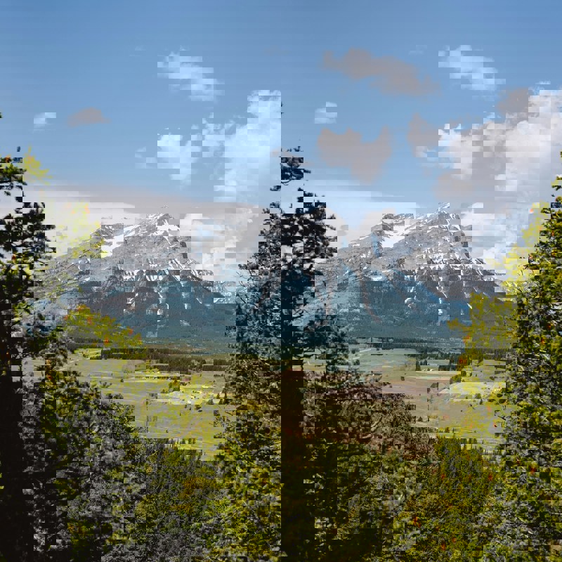 josh-hild-Rl7JCGweQQ0-unsplash