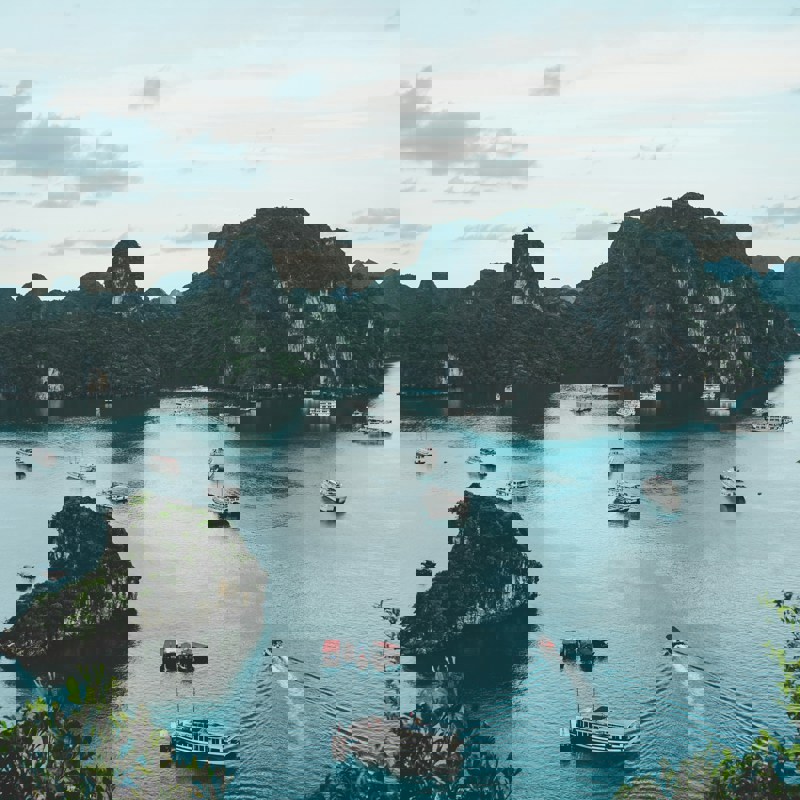 ammie-ngo-vcu-OZBxxRk-unsplash