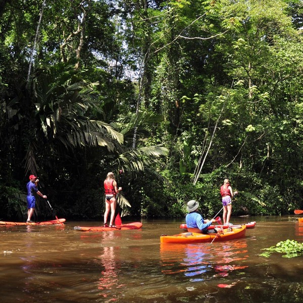 PÃ¥ tur i Tortuguero junglen, Costa Rica