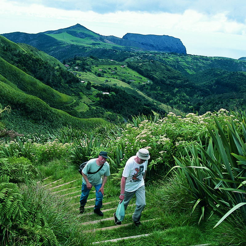 St. Helena, plantager