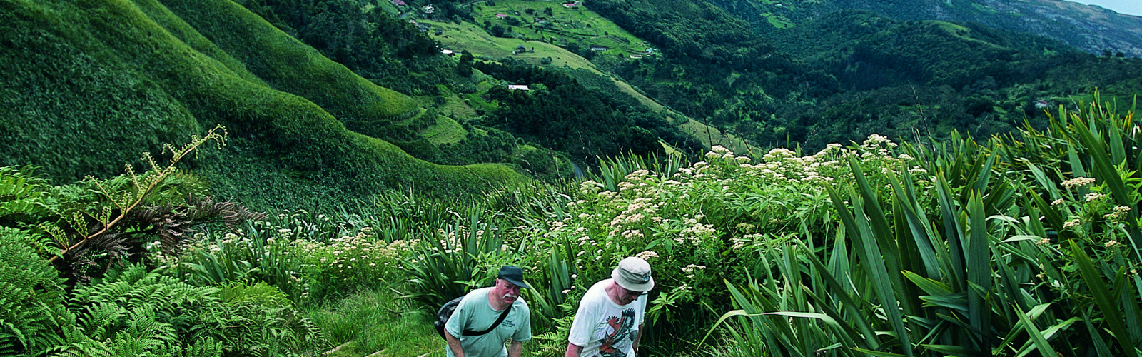 I:\AXUMIMAGES\Afrika\St Helena\Pakker\Image02