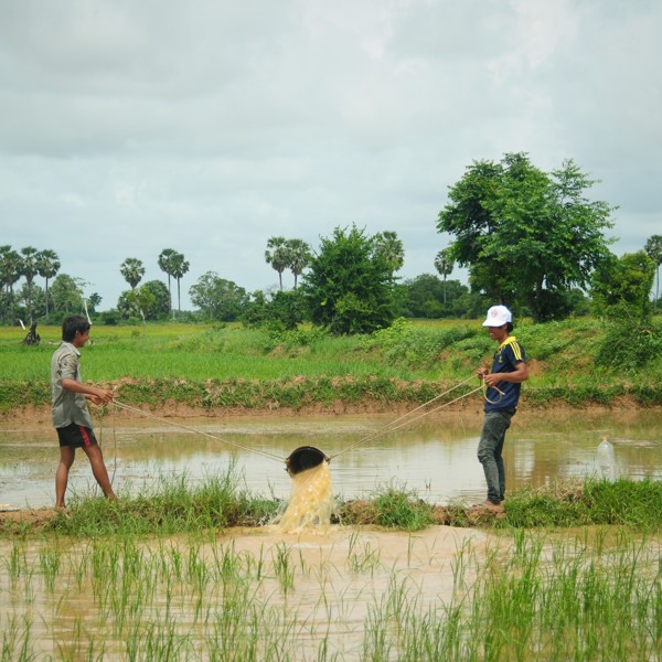 Cambodia - Siem Reap