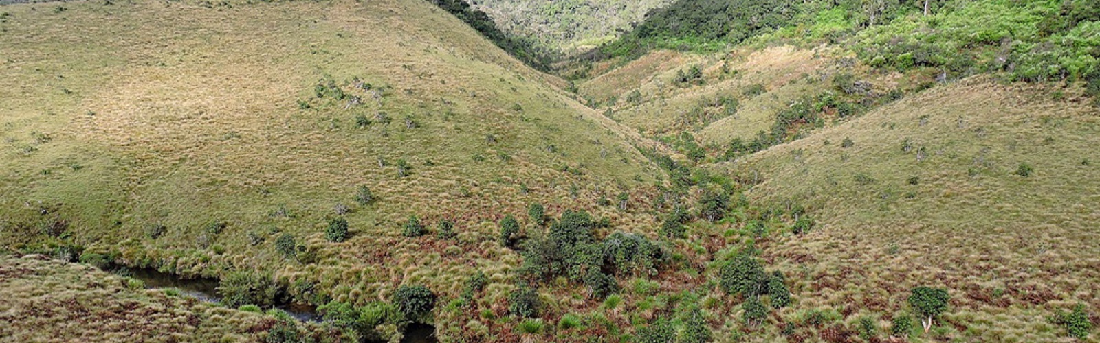 Bakkede landskaber ved Horton Plains, Sri Lanka