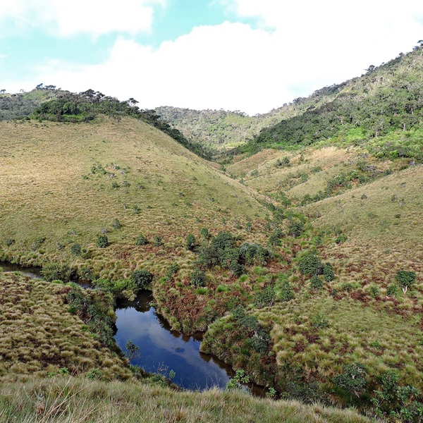Bakkede landskaber ved Horton Plains, Sri Lanka