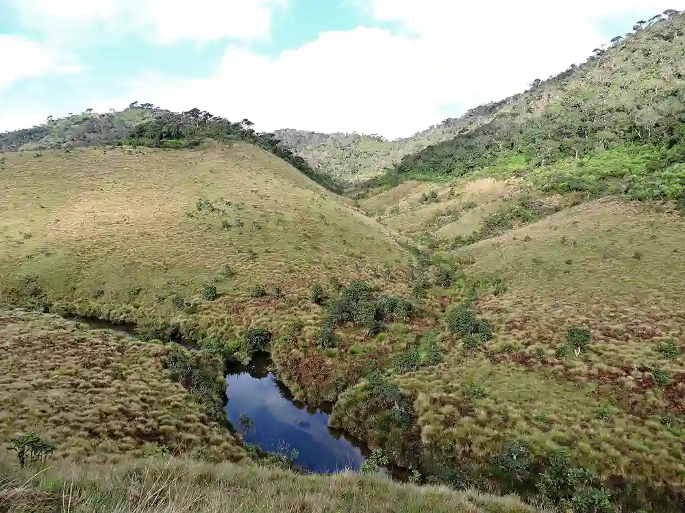 Bakkede landskaber ved Horton Plains, Sri Lanka