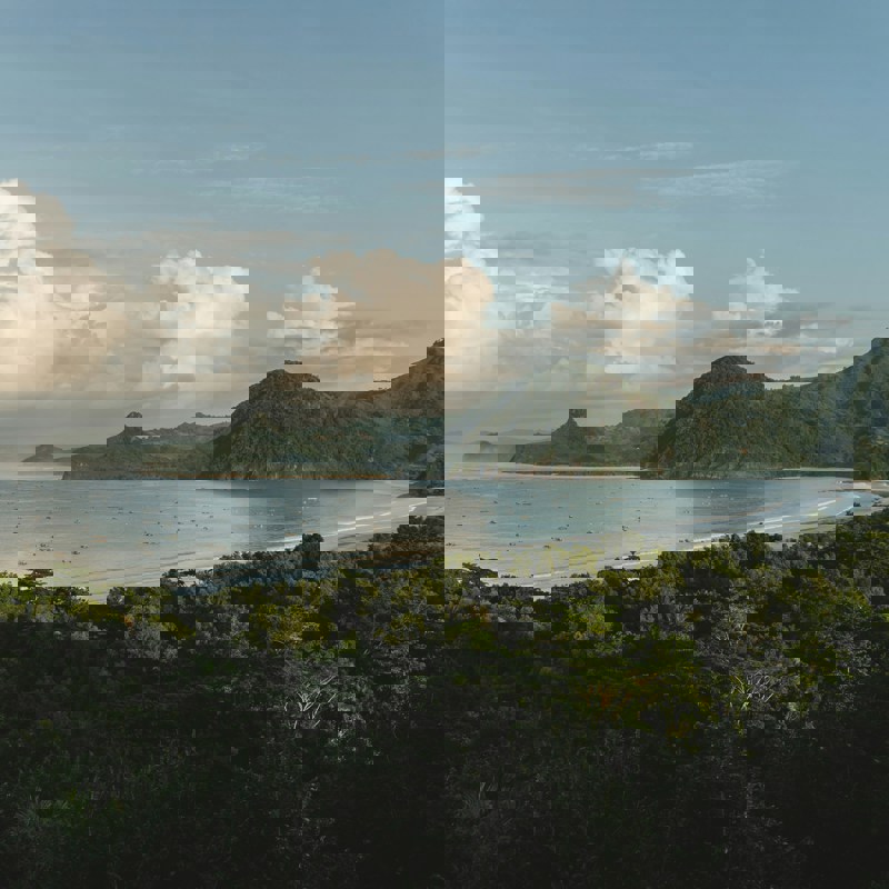 polina-kuzovkova-3AELbqiGjL4-unsplash