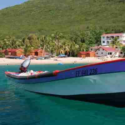 Båd i vandet, små huse på stranden og palmer på Guadeloupe