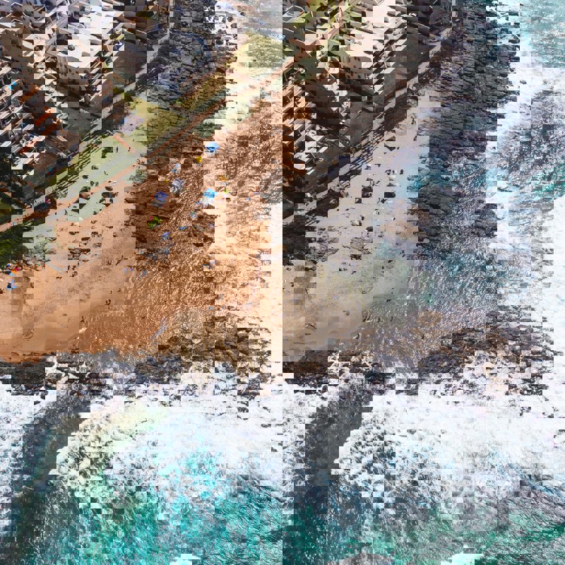 jason-briscoe-hMF4RnpwMuU-unsplash