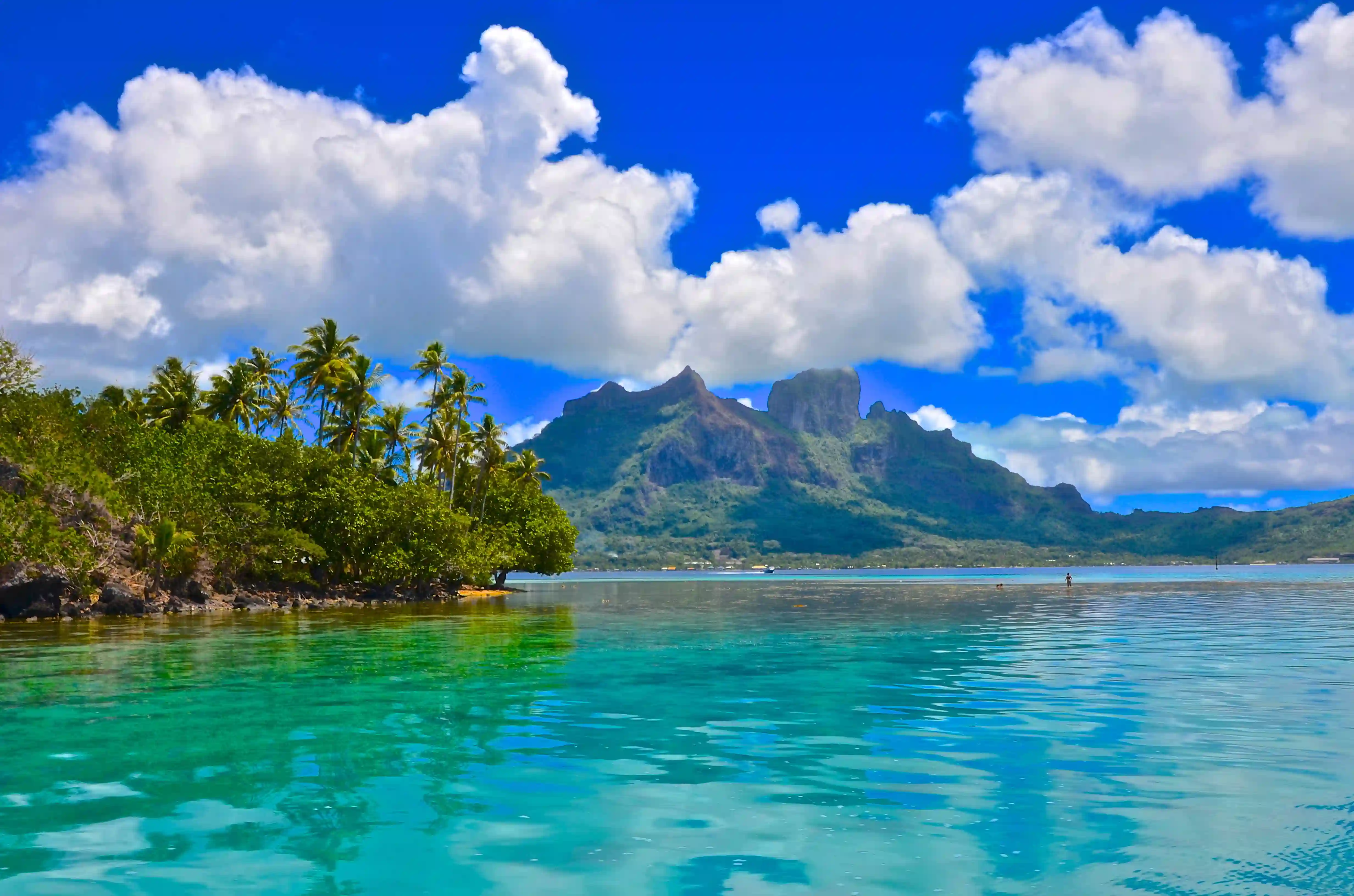 Rejser til Fransk Polynesien