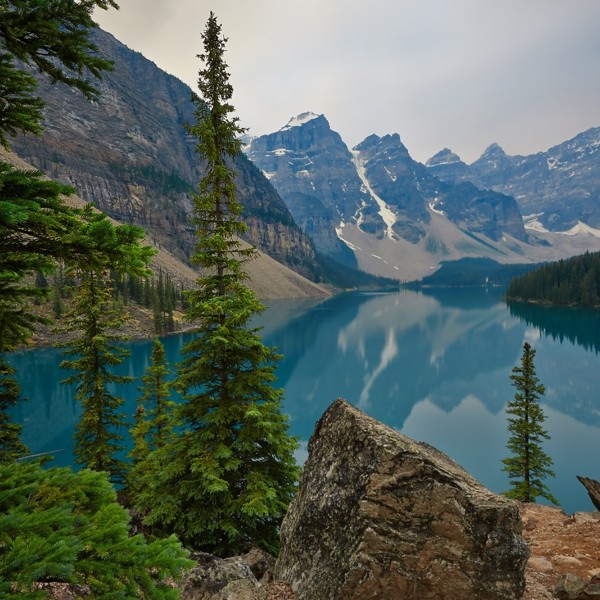 Road Bear på tur i Alberta
