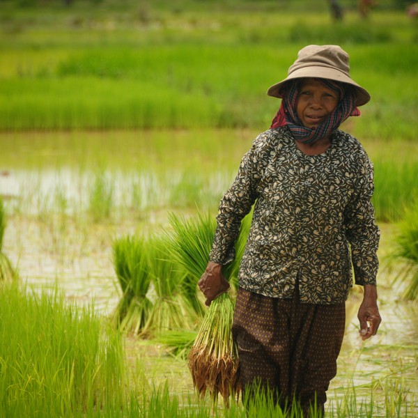 Siem Reap