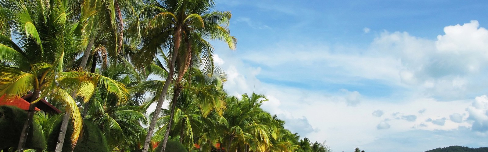 Palmestrand, Langkawi Island, Malaysia