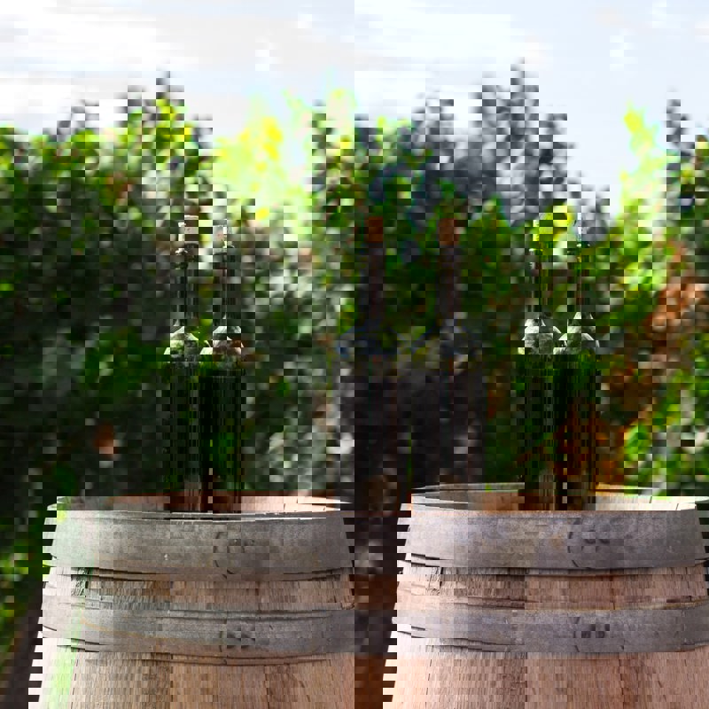 rodrigo-abreu-Cj4CWKQllOM-unsplash