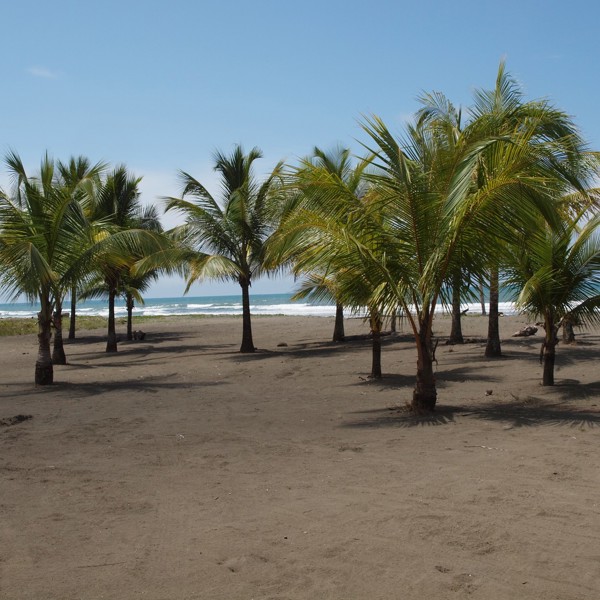 cahuita område