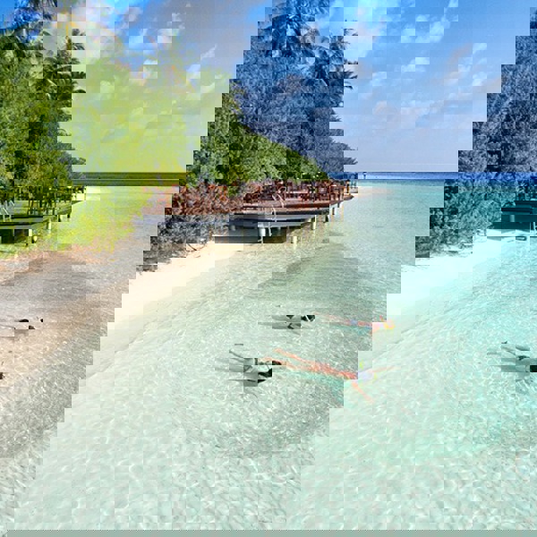 Snorkling skal man da prøve på Embudu Village i Maldiverne