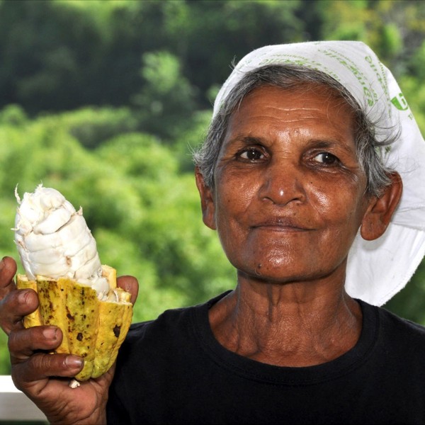 Dame på kakaofarm, Trinidad & Tobago