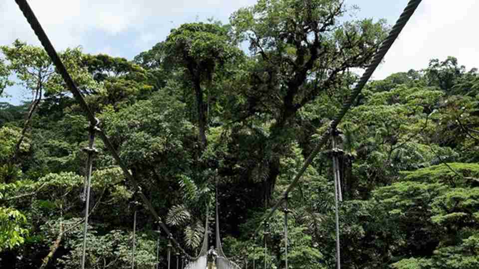 Monteverde Haengebroer