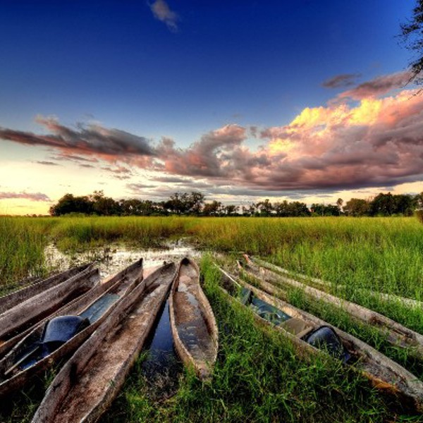 Botswana - Okavango - Moroko