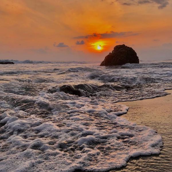 Costa Rica - El Remanso Lodge