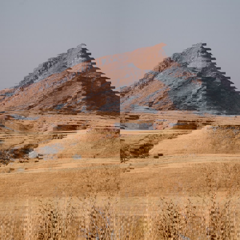 joshua-kettle-8DvIWeaqQ8Y-unsplash (1)