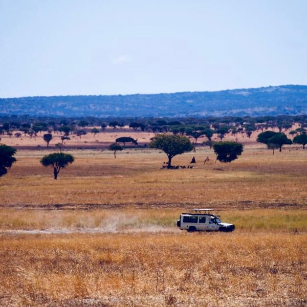 Tanzania safari