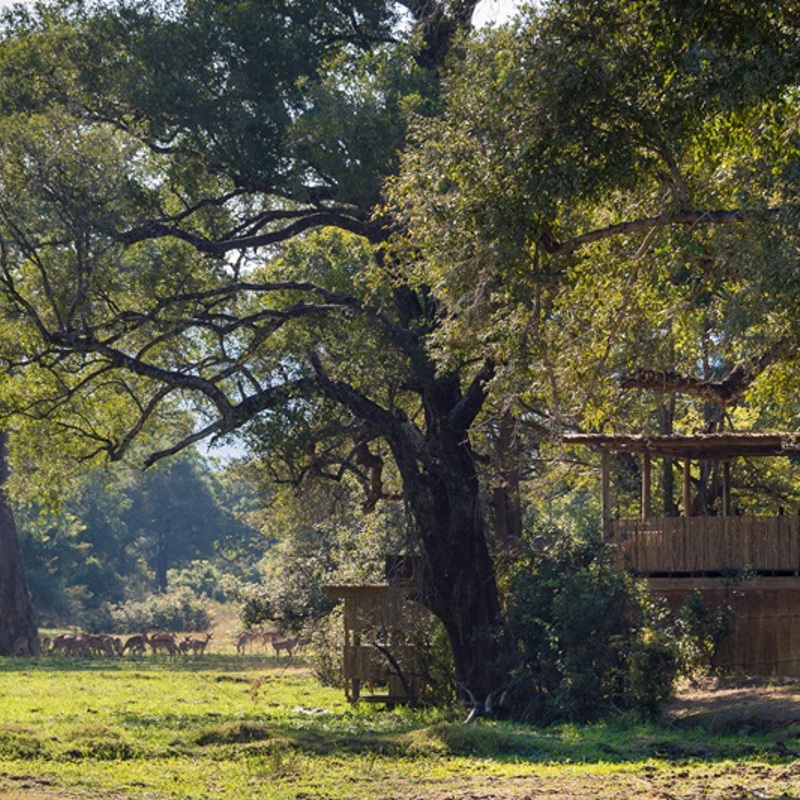 Safari fra Chamilandu
