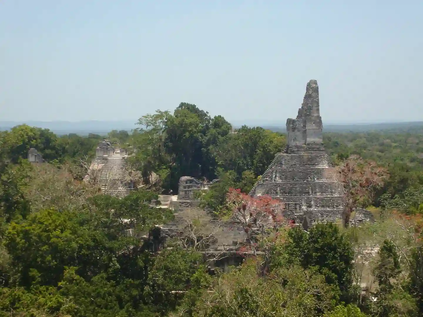 tikal