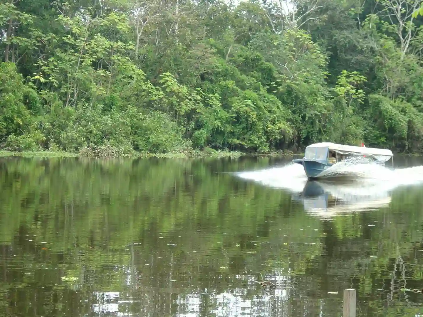 sejlads amazonas